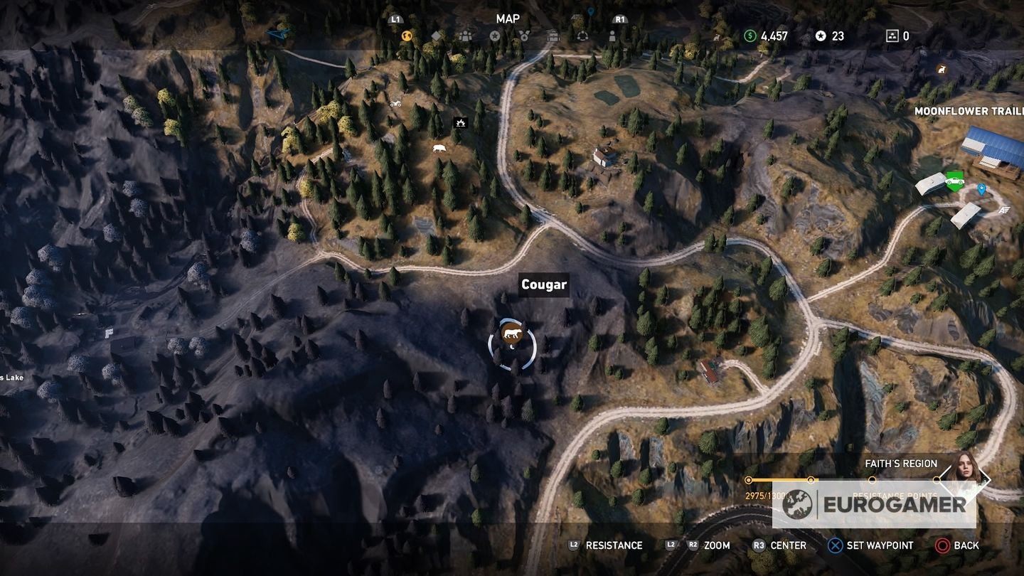 Far Cry 5 hunting: All animal locations, including bear, eagle, elk